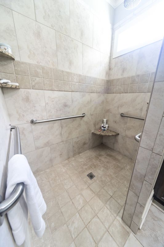 Walk-In Shower Options
